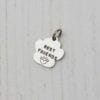 Stamped With Love - Paw Tag Add On