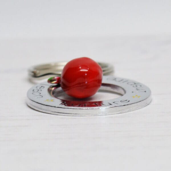 Stamped With Love - Teach Nurture Inspire Keyring